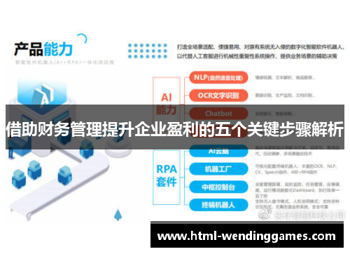 借助财务管理提升企业盈利的五个关键步骤解析