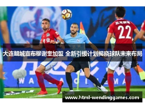 大连鲲城宣布穆谢奎加盟 全新引援计划揭晓球队未来布局