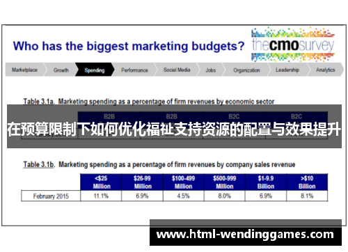 在预算限制下如何优化福祉支持资源的配置与效果提升