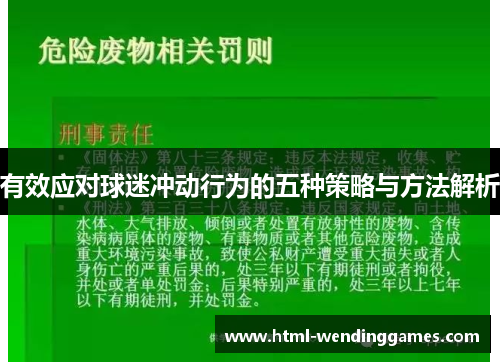 有效应对球迷冲动行为的五种策略与方法解析