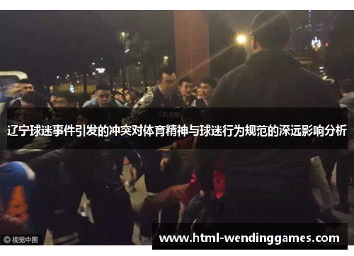 辽宁球迷事件引发的冲突对体育精神与球迷行为规范的深远影响分析