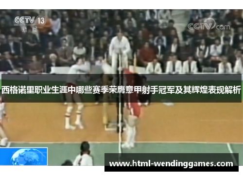 西格诺里职业生涯中哪些赛季荣膺意甲射手冠军及其辉煌表现解析