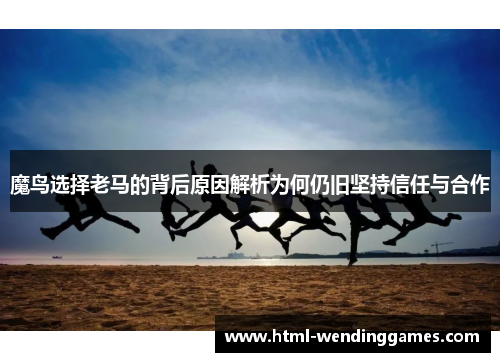 魔鸟选择老马的背后原因解析为何仍旧坚持信任与合作