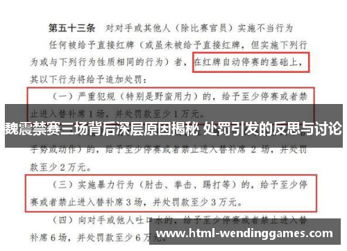 魏震禁赛三场背后深层原因揭秘 处罚引发的反思与讨论