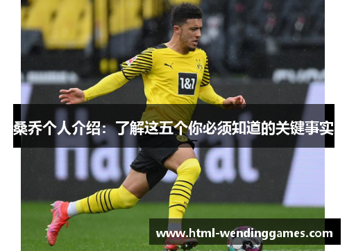 桑乔个人介绍：了解这五个你必须知道的关键事实